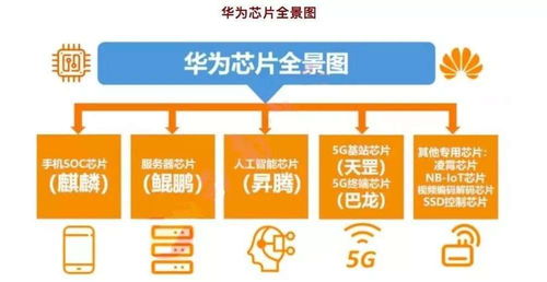 華為鴻蒙雙喜臨門，系統生態與運維服務并進，2023年科技領域“王者歸來”信號顯現
